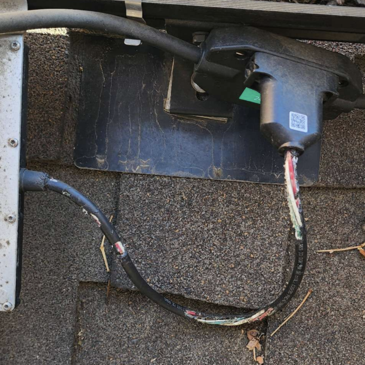 Close up of stripped copper wire casings and chewed wires from a solar installation