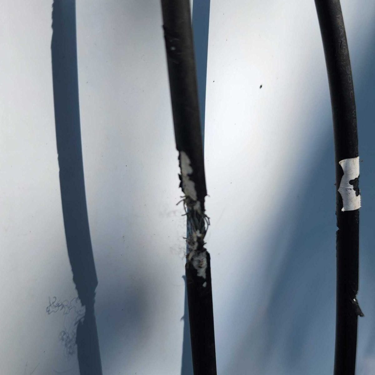 Closeup of chewed solar electrical wiring from squirrels or rodents_ 20260812_105525