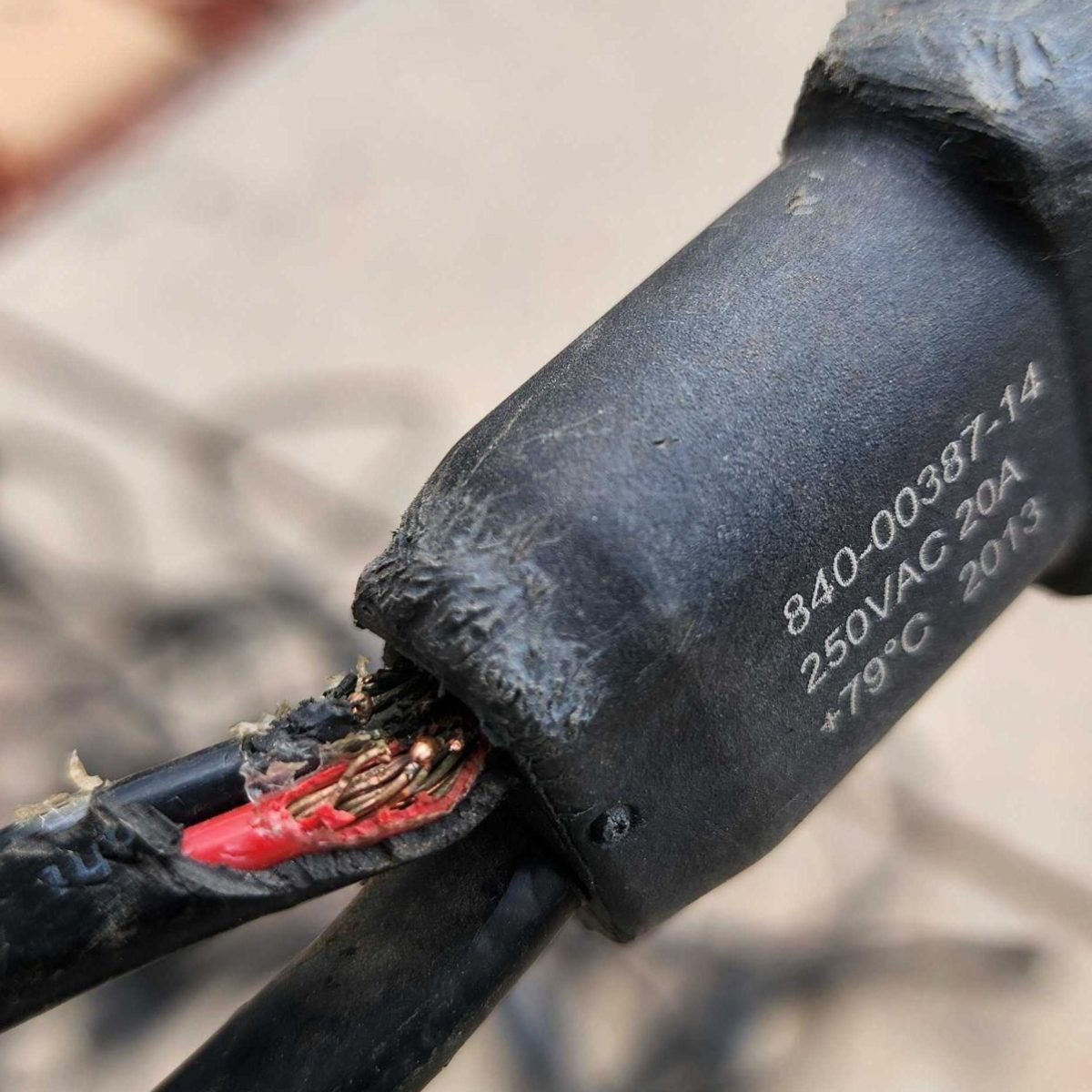 Damaged wire from squirrel infestation beneath a Denver Colorado rooftop solar installation 20260812_143848