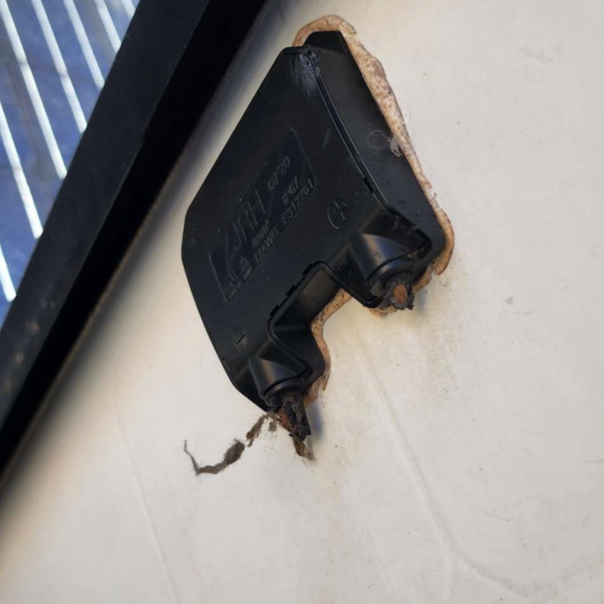close up shot of wires completely chewed off of electrical solar installation component